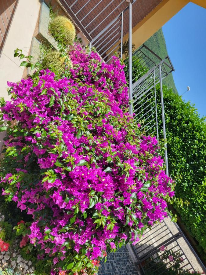 B&B Rossella Montoro Inferiore Exteriör bild